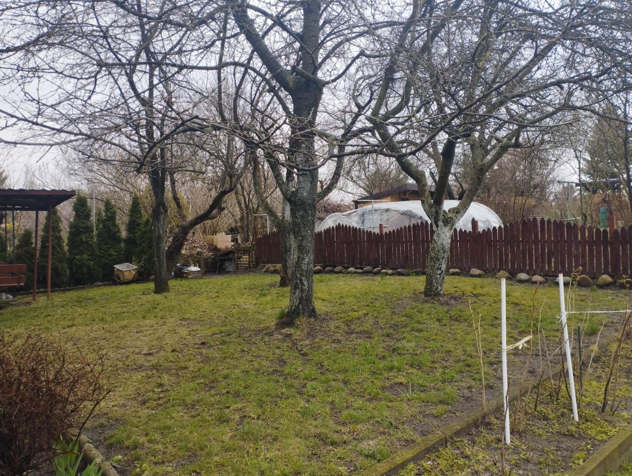 Działka rod Lublin Majdanek, ul. Wilcza. Zdjęcie 4