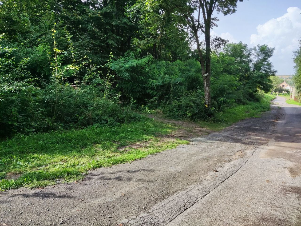 Działka rolno-budowlana Jędrzejowice. Zdjęcie 6