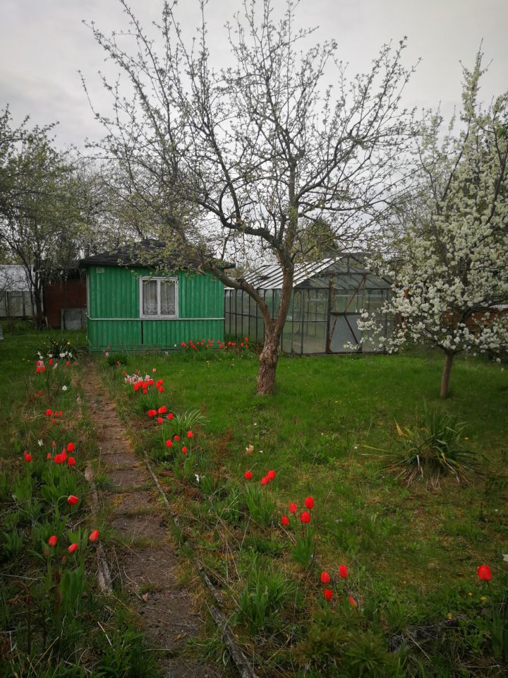 Działka rekreacyjna Białystok Dojlidy, ul. Adama Mickiewicza. Zdjęcie 2