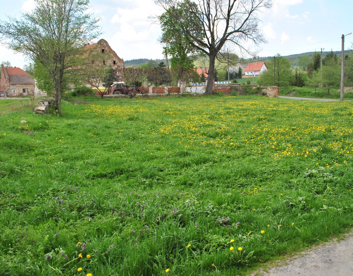 Działka budowlana Lutomierz. Zdjęcie 4