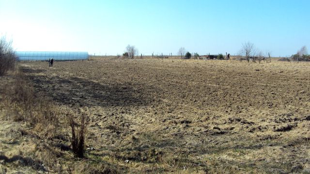 Działka rolna Wiśniewo. Zdjęcie 1