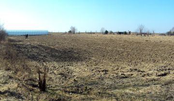 Działka rolna Wiśniewo