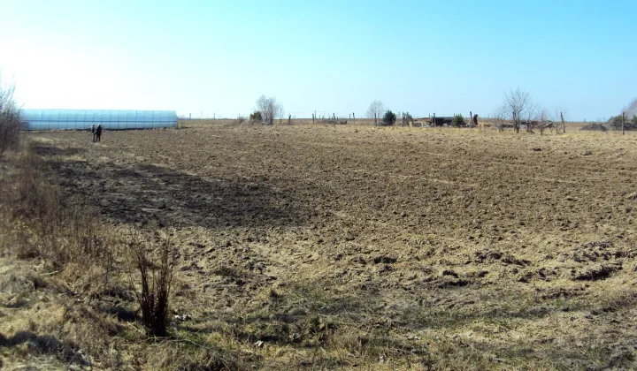 Działka rolna Wiśniewo