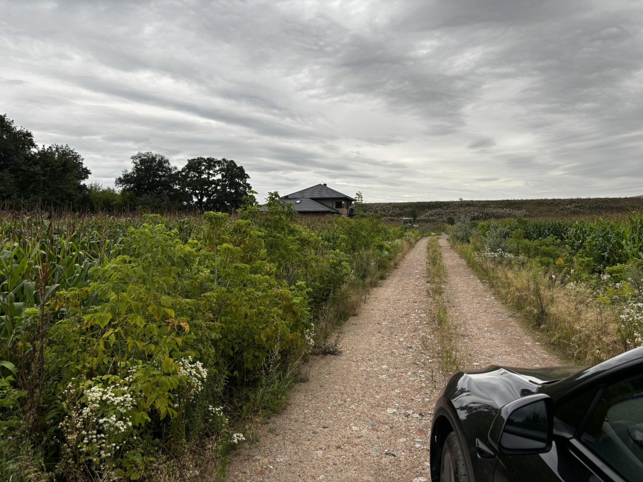 Działka budowlana Teresin, ul. Sarnia. Zdjęcie 6