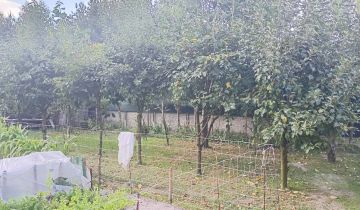 dom wolnostojący, 4 pokoje Wola Baranowska, ul. Krakowska