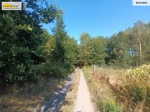 Działka rolna Binowo. Zdjęcie 4