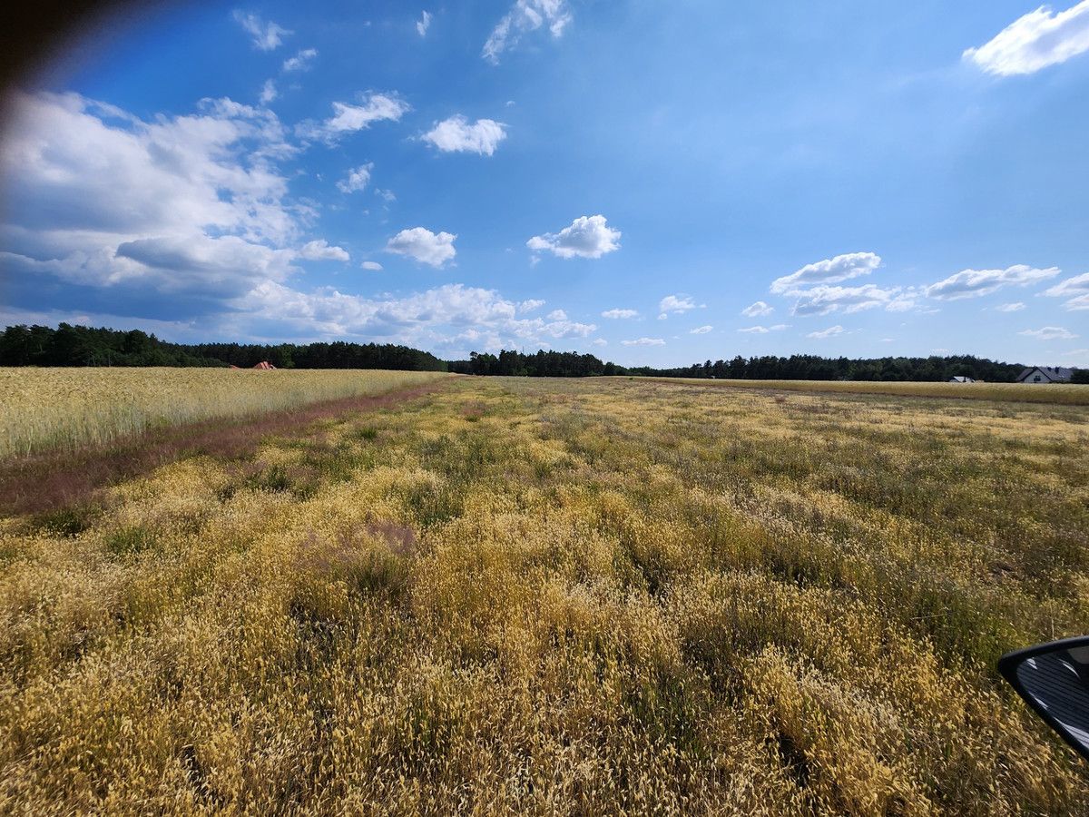 Działka rolna Joniec-Kolonia. Zdjęcie 3