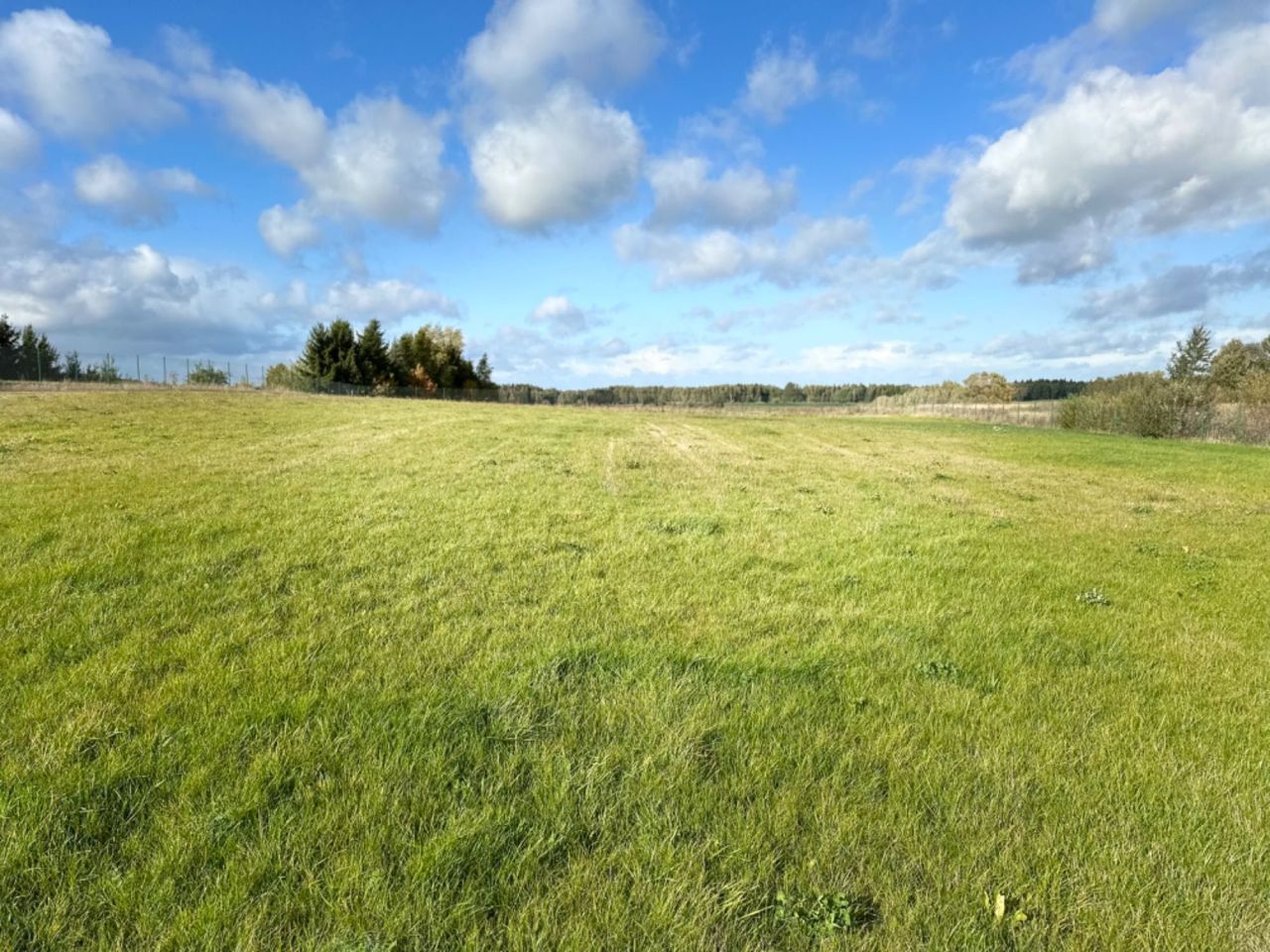 Działka siedliskowa Rodnowo. Zdjęcie 5