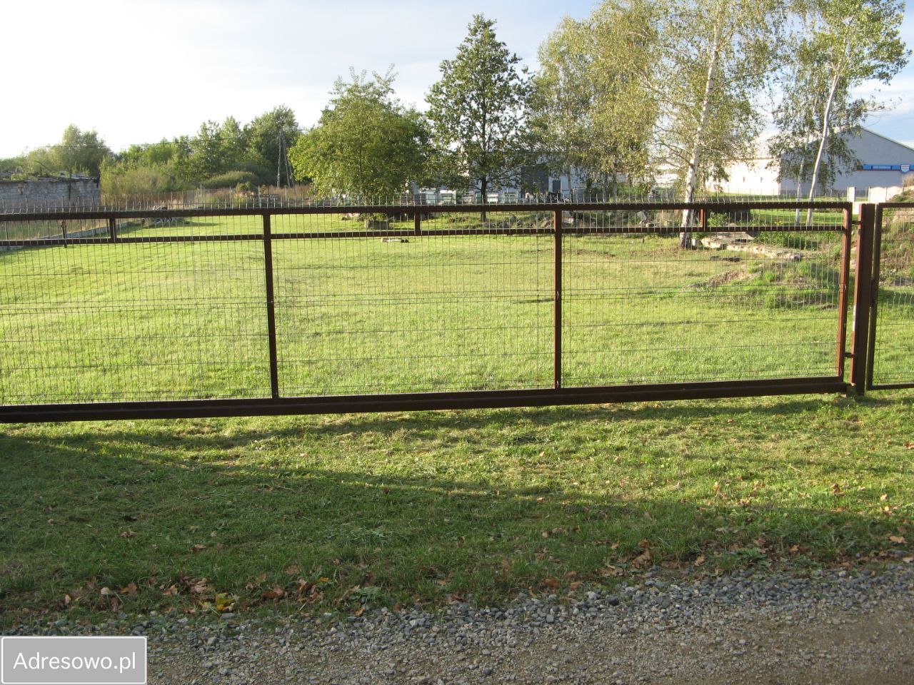 Działka inwestycyjna Prochowice. Zdjęcie 6