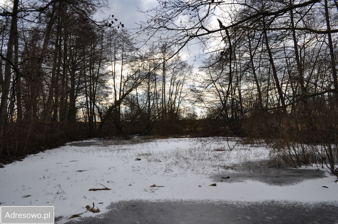 Działka siedliskowa Stare Chrapowo. Zdjęcie 14
