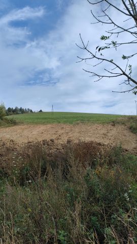 Działka rolna Brzuska. Zdjęcie 7