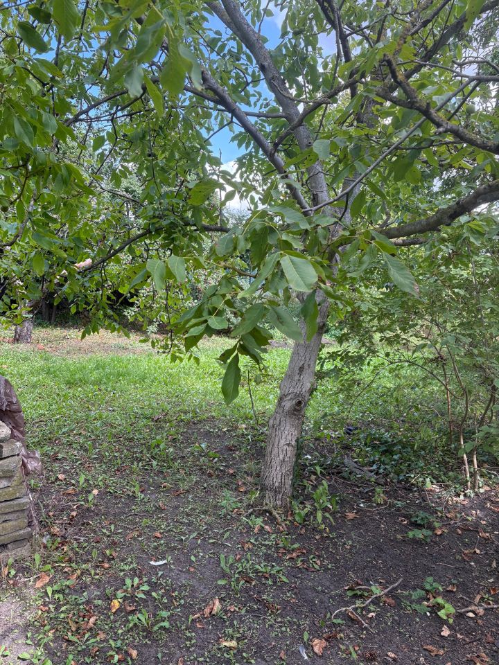 Działka rod Inowrocław Zarwane, ul. Prymasa Józefa Glempa. Zdjęcie 5