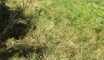 Działka inwestycyjna Wykroty