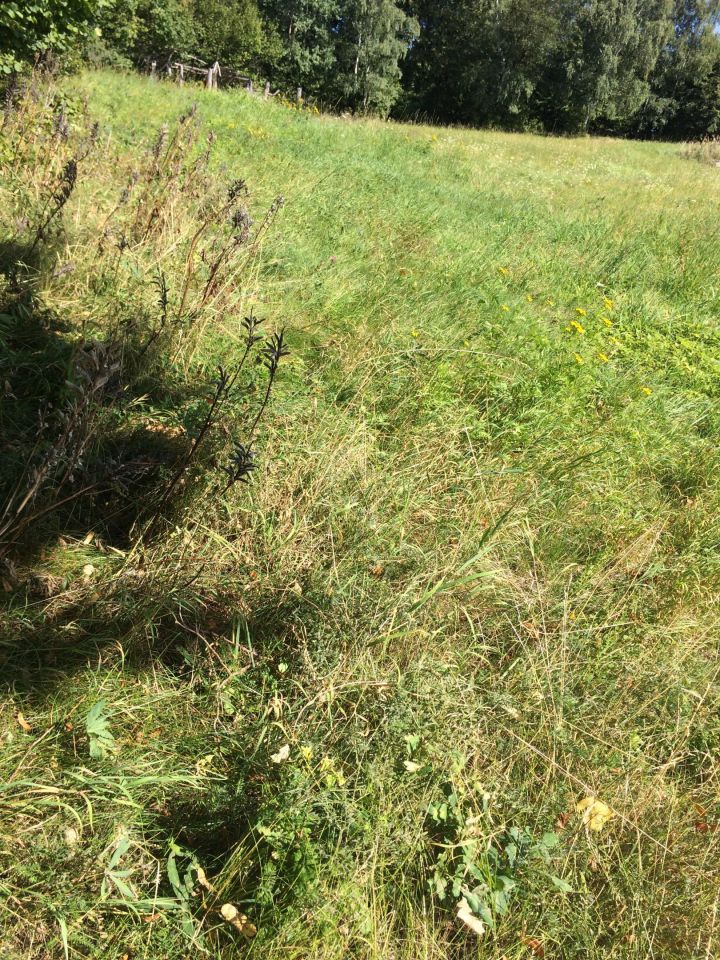 Działka inwestycyjna Wykroty. Zdjęcie 2