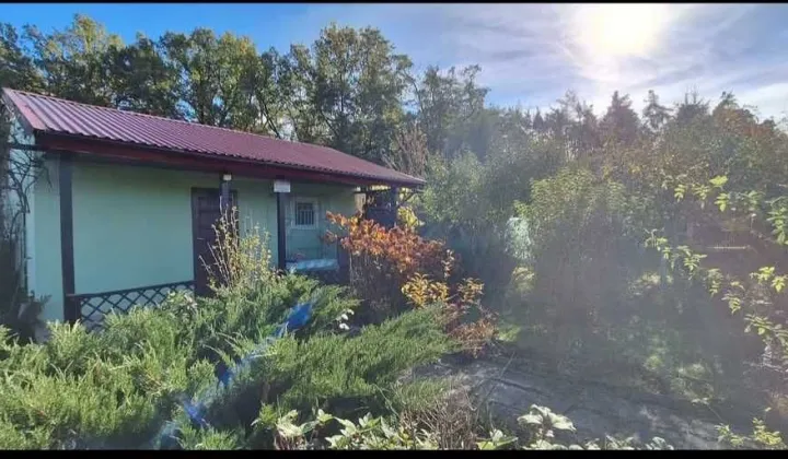 Działka rod Krosno Odrzańskie, ul. Gubińska