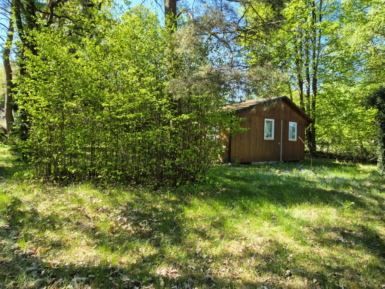 Działka rekreacyjna Popowo-Parcele, Dębowa. Zdjęcie 2