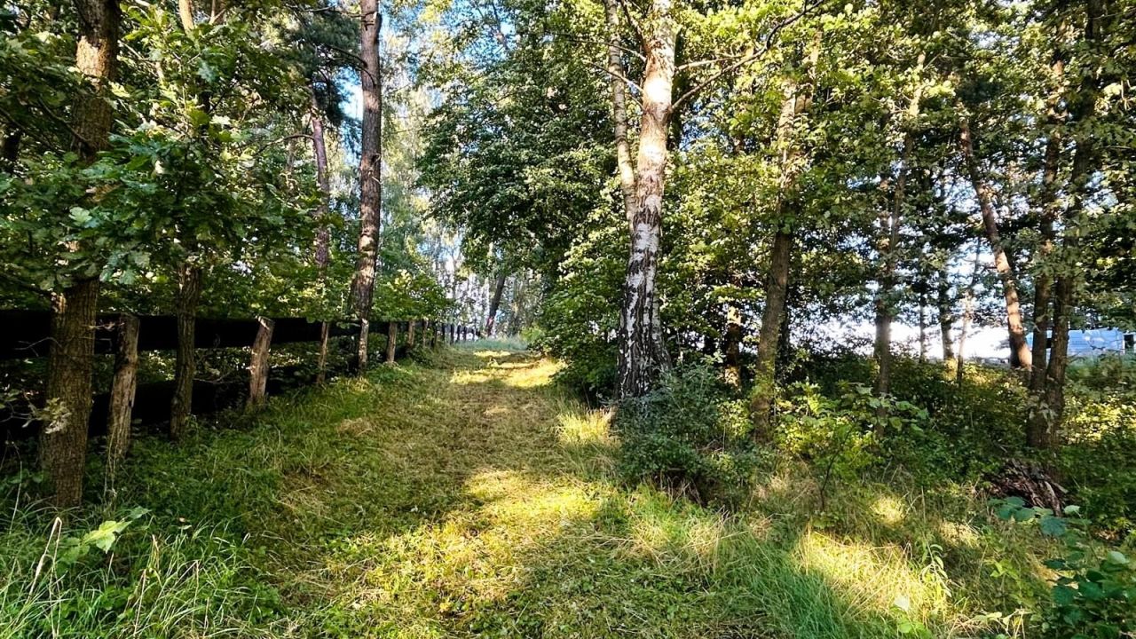 Działka rolno-budowlana Jabłonowo. Zdjęcie 9