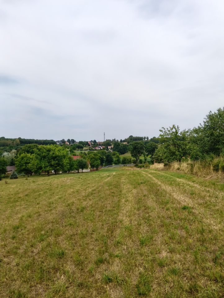 Działka siedliskowa Gierczyce Niwa, Gierczyce. Zdjęcie 9