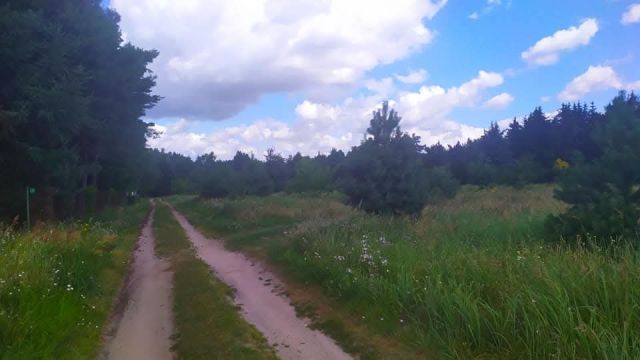 Działka budowlana Sikory, ul. Brzozowa. Zdjęcie 2