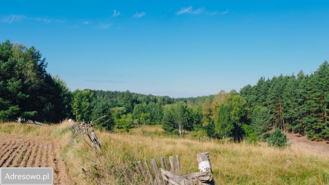 Działka rolna Martew. Zdjęcie 1