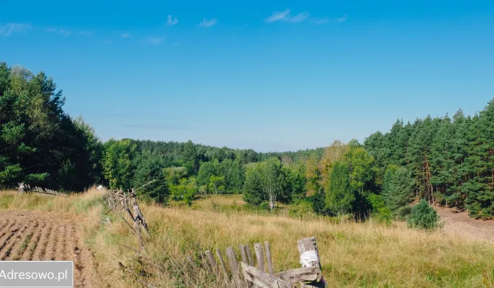 Działka rolna Martew