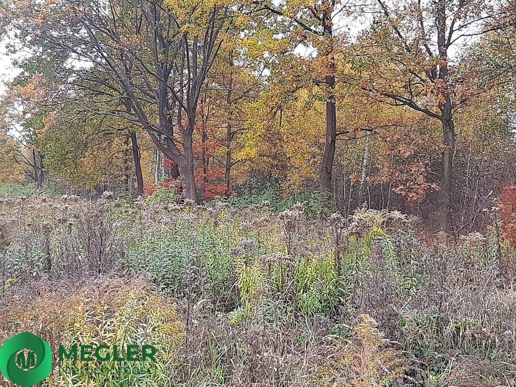 Działka budowlana Rusiec. Zdjęcie 6