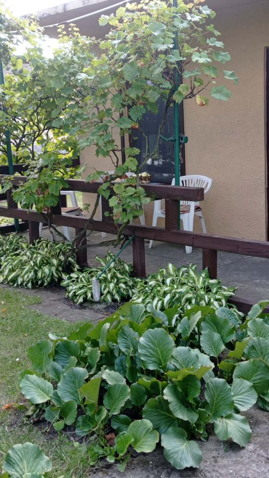 Działka rod Pleszew, ul. Bałtycka. Zdjęcie 4