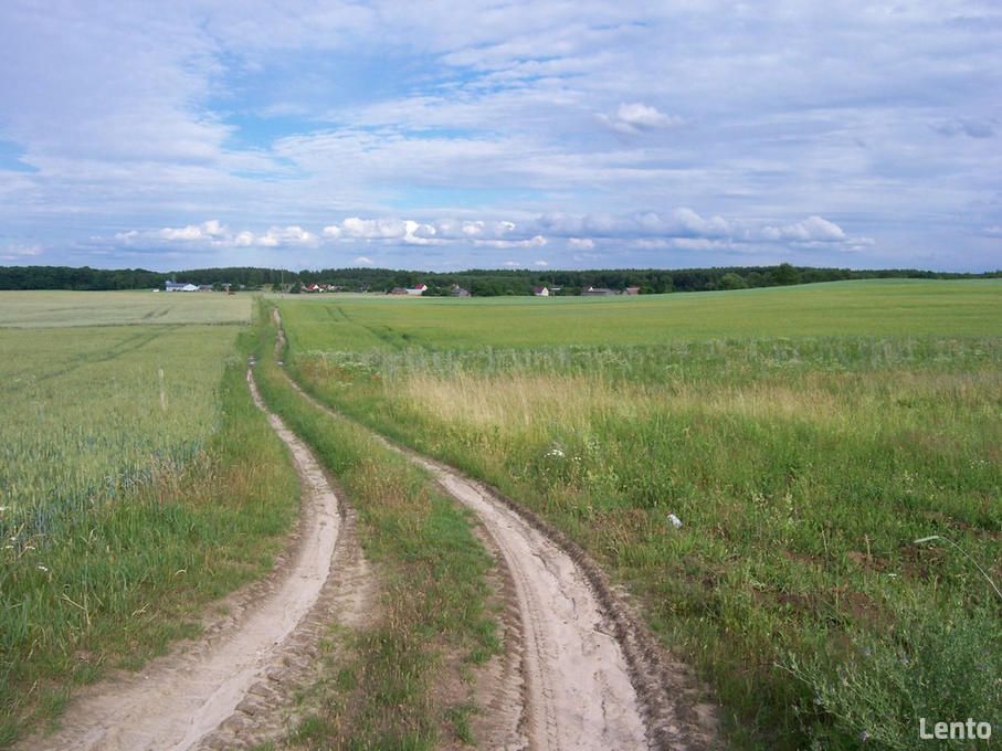 Działka rolna Chłopowo. Zdjęcie 4