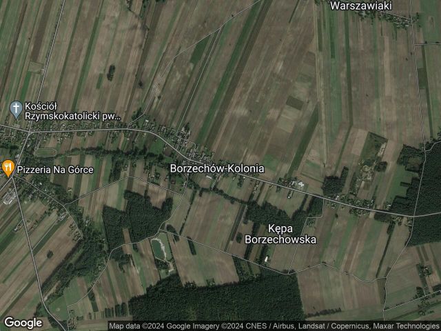 Działka rolna Borzechów-Kolonia. Zdjęcie 1
