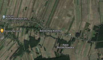 Działka rolna Borzechów-Kolonia