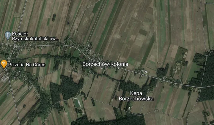Działka rolna Borzechów-Kolonia