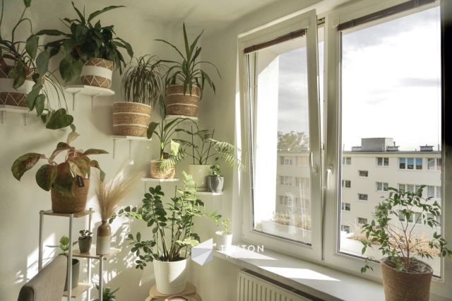 Mieszkanie 2-pokojowe Warszawa Praga-Południe, ul. Augustyna Kordeckiego. Zdjęcie 6