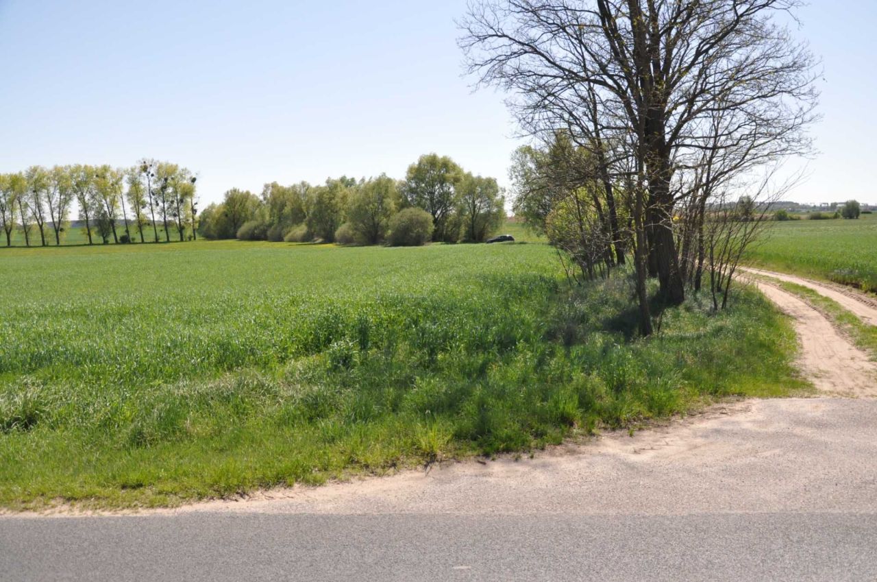 Działka rolna Jabłowo Pałuckie. Zdjęcie 6