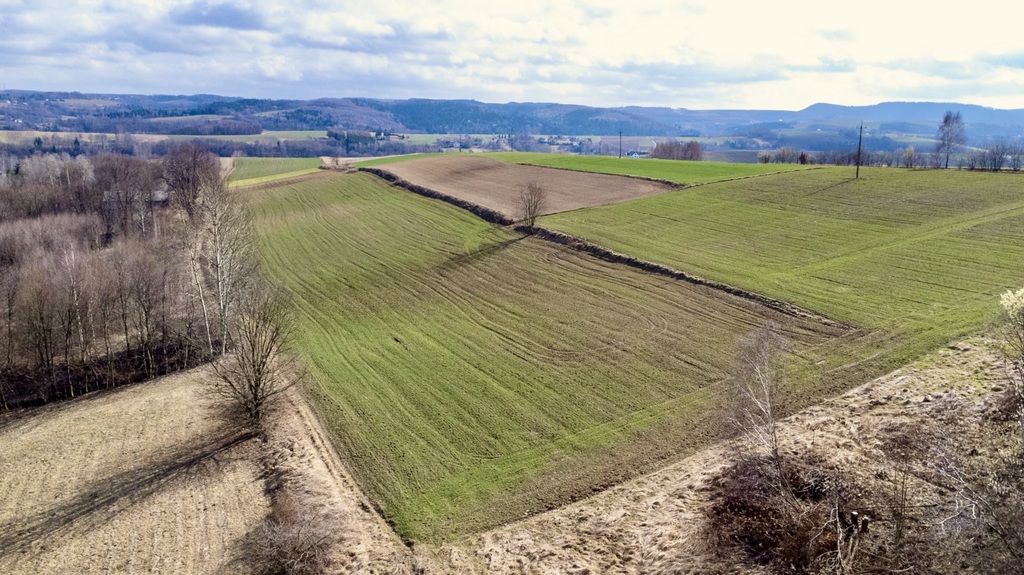 Działka budowlana Brzeziny. Zdjęcie 5