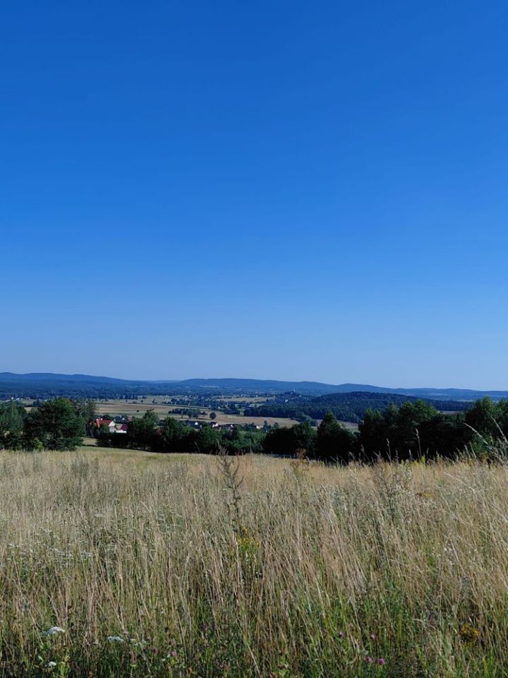 Działka rolno-budowlana Pępice. Zdjęcie 5