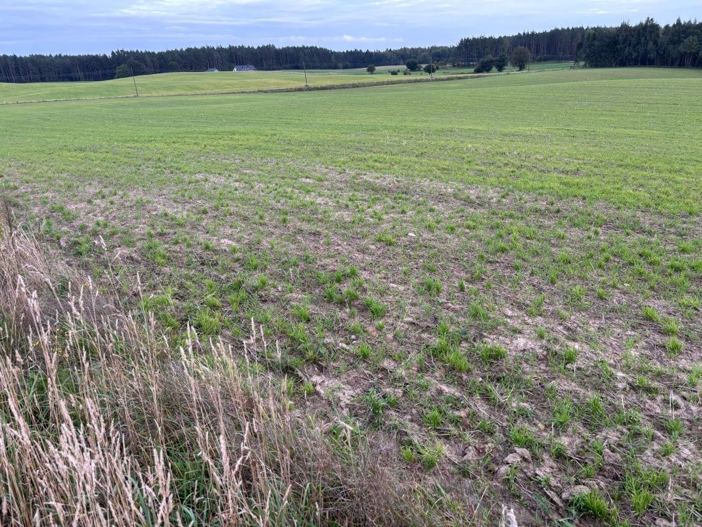 Działka budowlana Szymbark, ul. Jagodowa. Zdjęcie 5