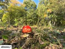 Działka budowlana Kuropatnik, ul. Bukowa. Zdjęcie 4