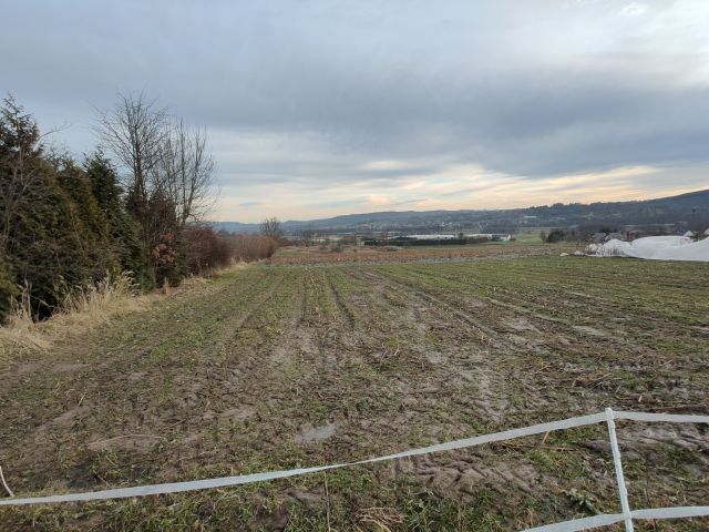 Działka budowlana Krzeszowice Żbik. Zdjęcie 1