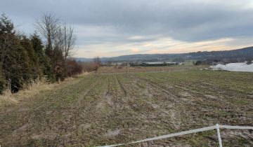 Działka budowlana Krzeszowice Żbik. Zdjęcie 1