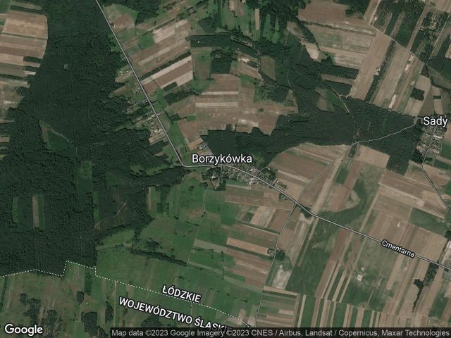 Działka rolna Borzykówka. Zdjęcie 1