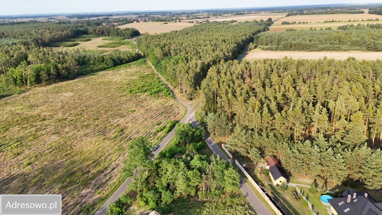 Działka budowlana Miłoradzice. Zdjęcie 6