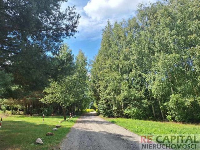 Działka siedliskowa Mariew. Zdjęcie 1