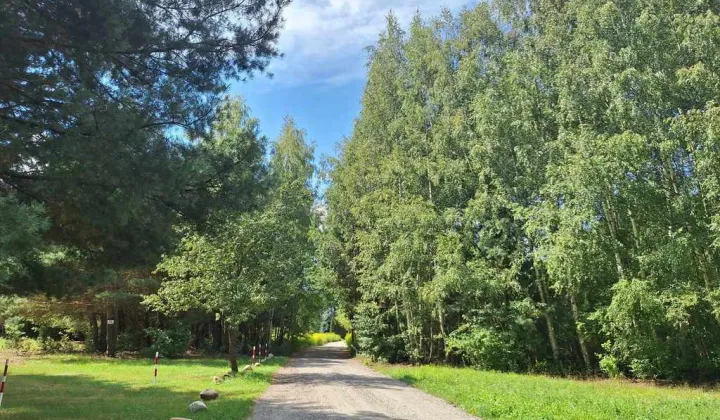 Działka siedliskowa Mariew