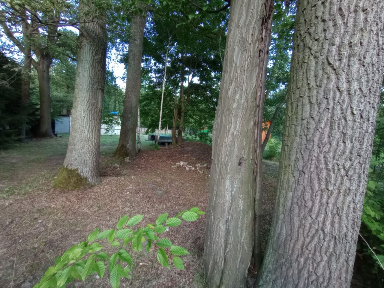 Działka budowlana Zgierz Krzywie, ul. Niecała. Zdjęcie 3