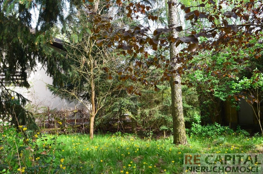 Działka Zielonki-Wieś. Zdjęcie 2