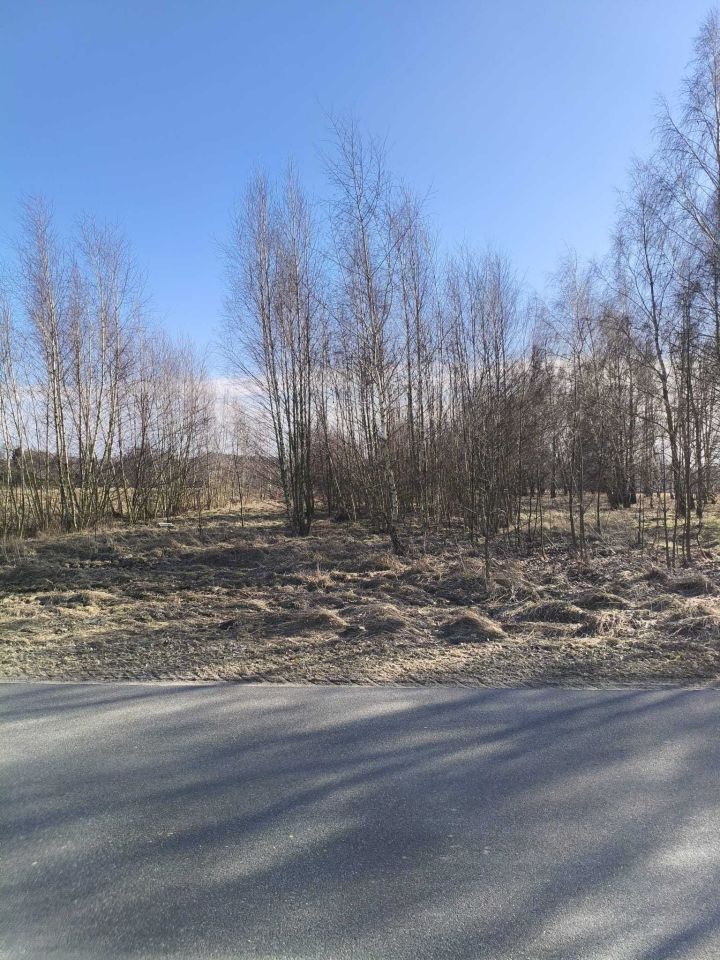 Działka budowlana Beleń-Kolonia. Zdjęcie 4