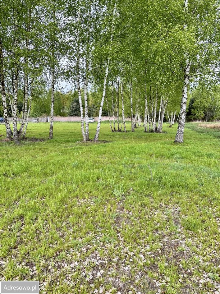 Działka budowlana Natolin. Zdjęcie 9