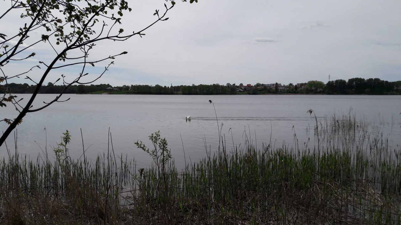 Działka Wełnica. Zdjęcie 8