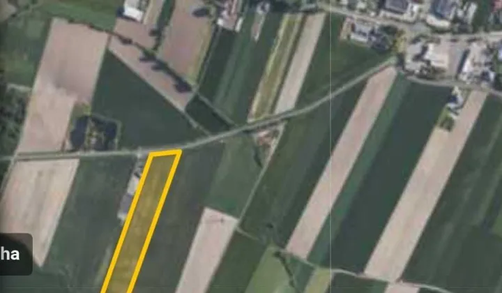 Działka inwestycyjna Borek Wielkopolski
