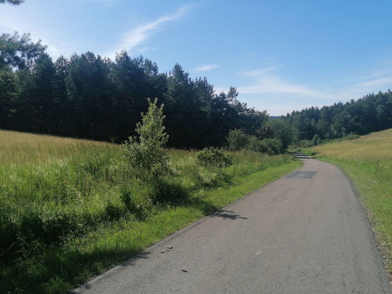 Działka rolna Załazki. Zdjęcie 4